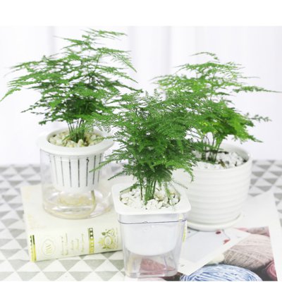 1720696265320722.png 226.png