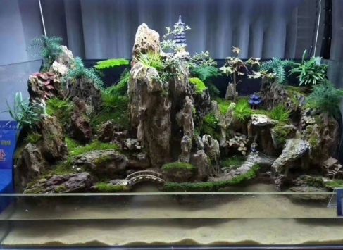 1743314349193014.png 20190428610.png