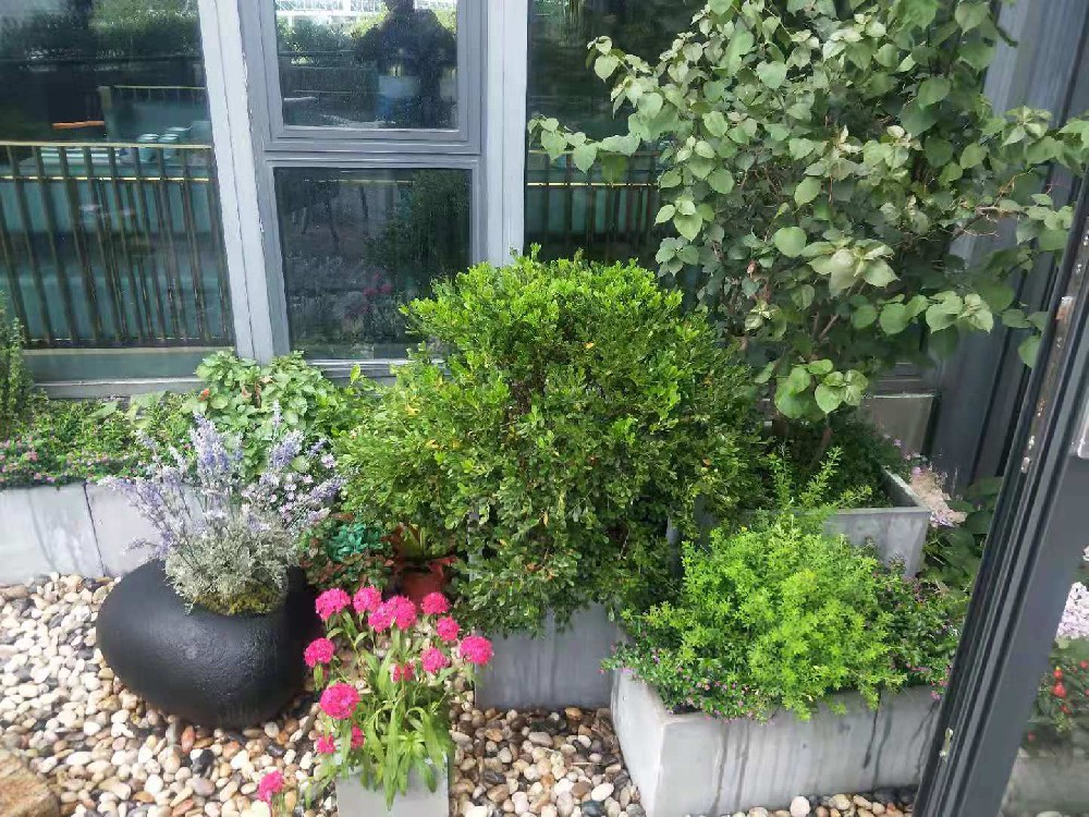 1748067209188301.jpg 125.jpg