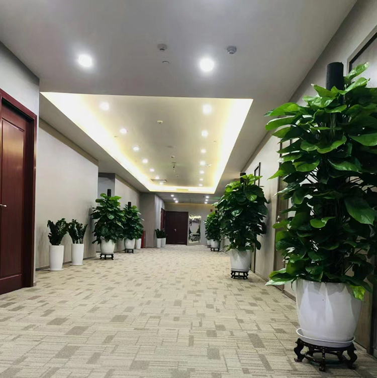 1748076107129306.jpg 13.jpg