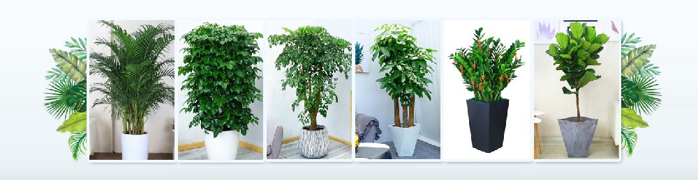 1749713225191370.jpg 1.jpg